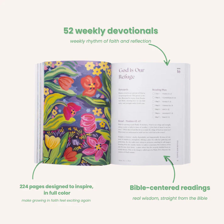The Bible In A Year: A 52-Week Study Through Gods Word